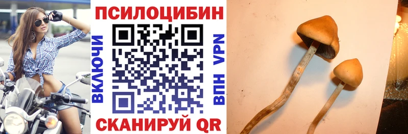 Галлюциногенные грибы мицелий  купить наркоту  Воронеж 